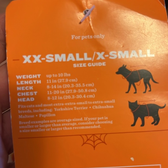 Pet Surfing Squirrel Rider (XXS / XS) - Picture 9 of 11